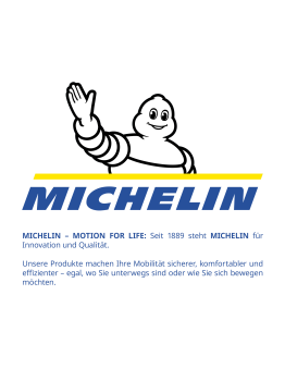 MICHELIN Radzierblenden 33,0 cm / 13 Zoll (silber/schwarz) MX-ABS