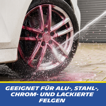 MICHELIN Expert Felgenreiniger 5000 ml Kanister
