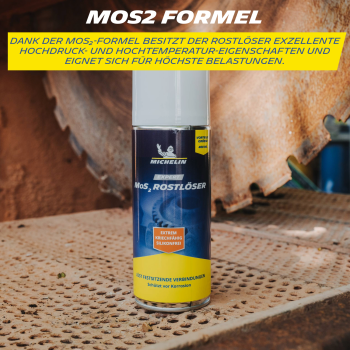 MICHELIN Expert Rostlöser MoS2 400 ml