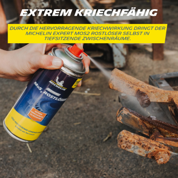 MICHELIN Expert Rostlöser MoS2 400 ml