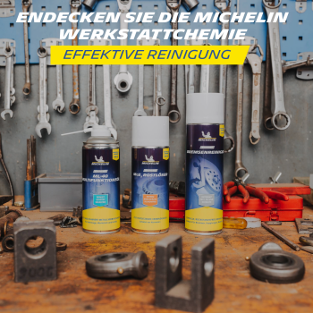 MICHELIN Expert Rostlöser MoS2 400 ml