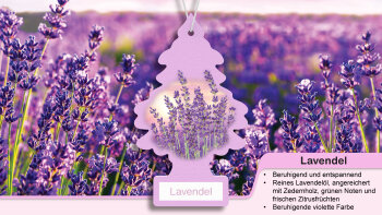 Wunder-Baum Lavendel 3er Karte