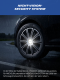 MICHELIN Radzierblenden 38,1 cm / 16 Zoll (zweifarbig: schwarz / silbern) MX-LBS