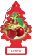 Wunder-Baum Kirsche 3er Karte