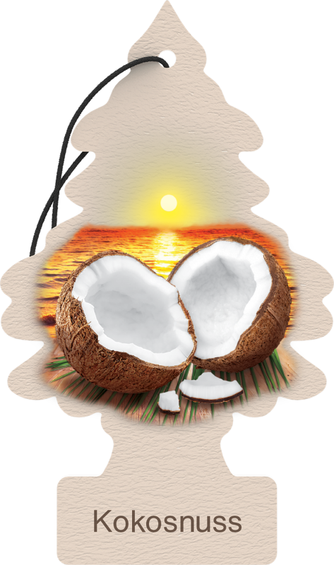 Wunder-Baum Kokosnuss 1er Karte