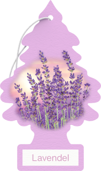Wunder-Baum Lavendel 1er Karte