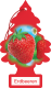 Wunder-Baum Erdbeeren 1er Karte